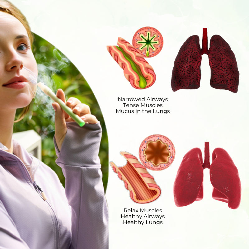 ✅Official Store-Blizkox™ Mullein Aroma Diffuser (🫁Cough, wheezing, shortness of breath, sputum, stuffy nose, bronchitis, bronchitis, allergy symptoms, lung discomfort💝)