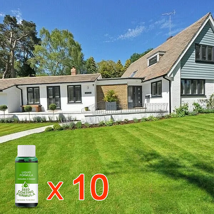 🔥Last Day Promotion🌱Hydro Seeding Lawn Solution