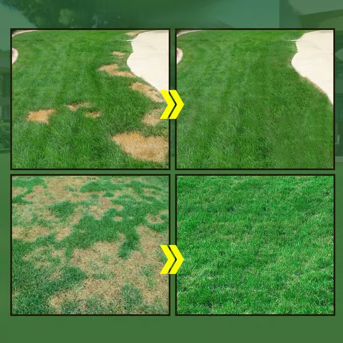🔥Last Day Promotion🌱Hydro Seeding Lawn Solution
