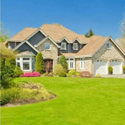🔥Last Day Promotion🌱Hydro Seeding Lawn Solution