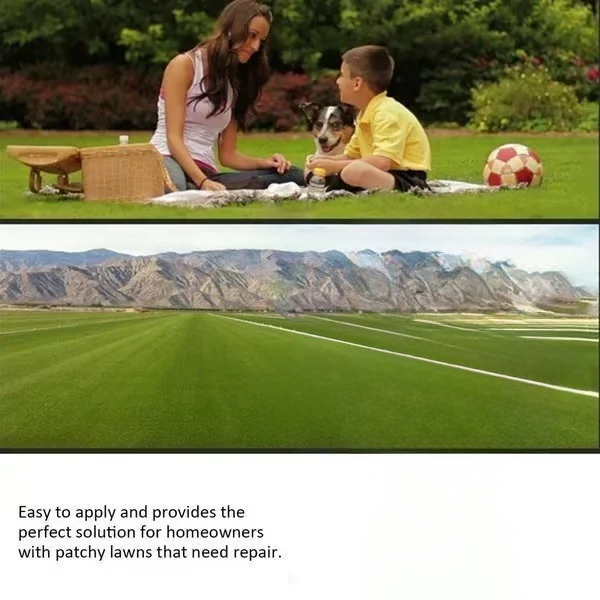 🔥Last Day Promotion🌱Hydro Seeding Lawn Solution